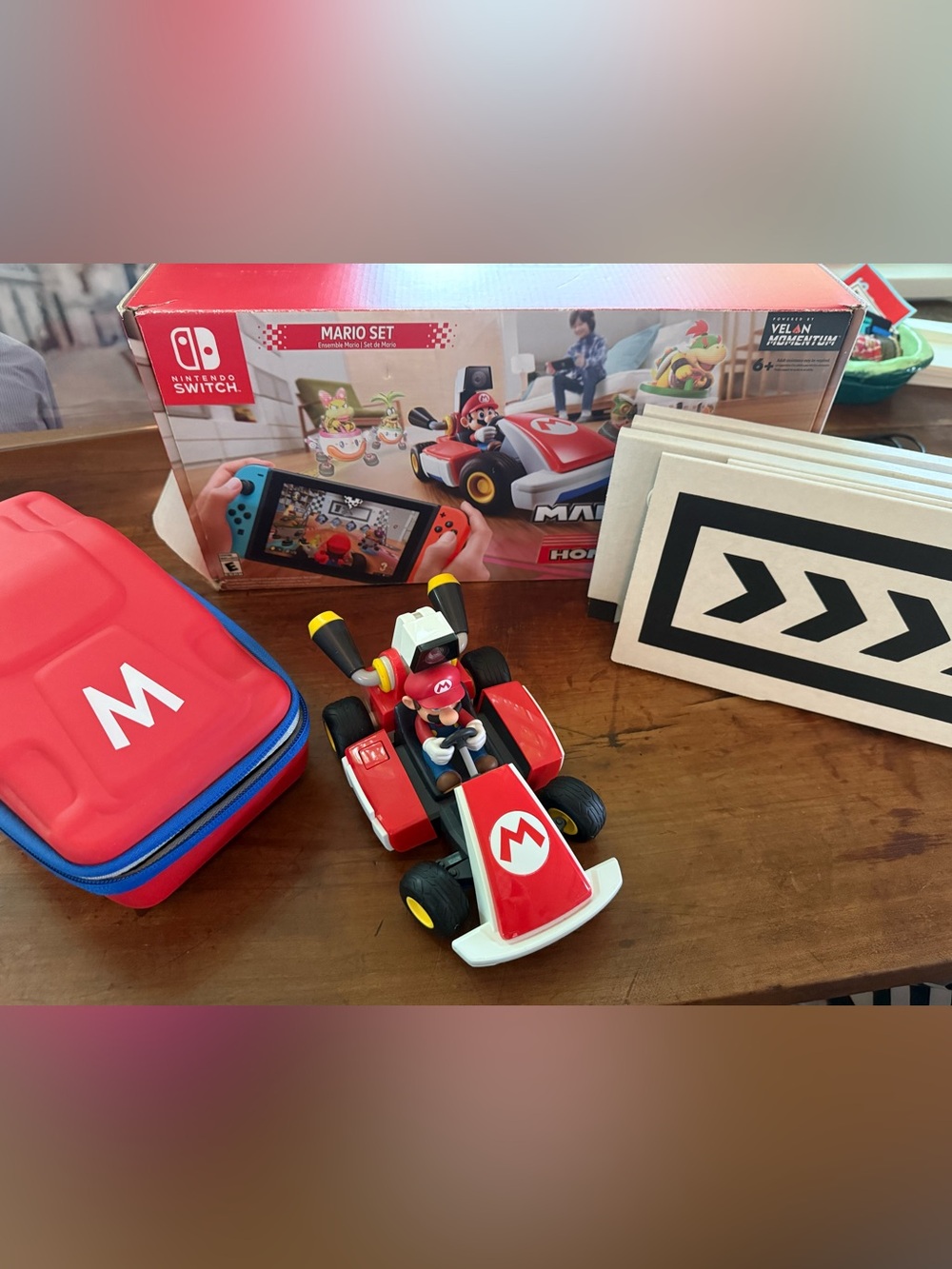 Nintendo Mario Kart Live: Home Circuit with case